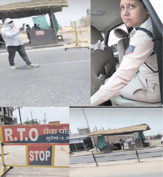 Image Alt Text